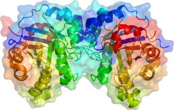 Enzyme và cơ chế hoạt động thần kỳ trong cơ thể